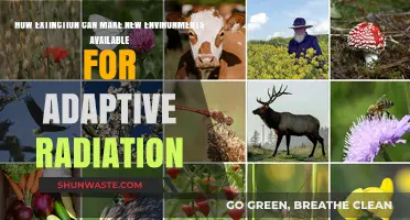 Extinction's Legacy: Unlocking New Habitats for Species Diversification