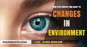 Eyes: Nature's Adaptive Shields in a Changing Environment