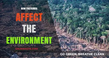 Factories' Environmental Impact: Pollution, Waste, and Ecosystem Disruption Explained