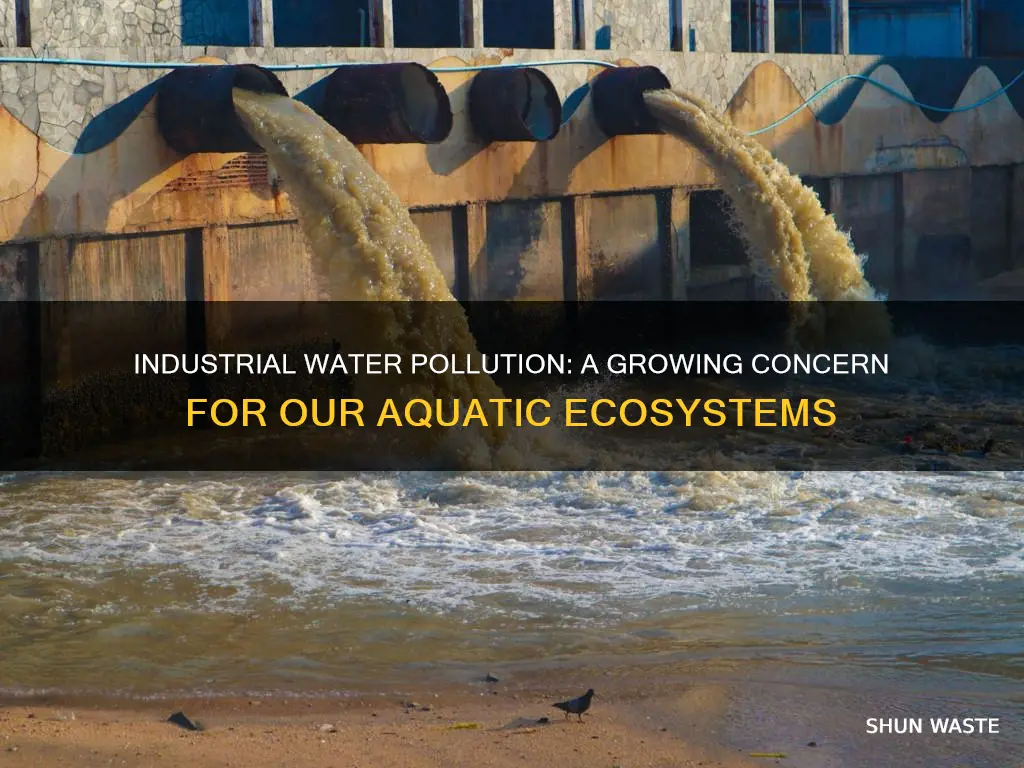 how factories are polluting water bodies