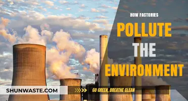 Factories' Pollution: Harming Nature and Our Future