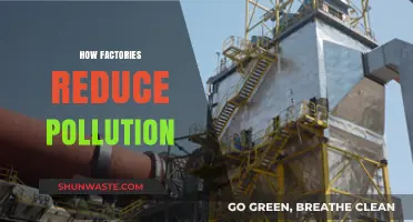 Factories' Strategies for Pollution Reduction