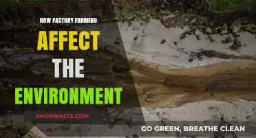 Factory Farming's Devastating Environmental Impact: Pollution, Deforestation, and Climate Change