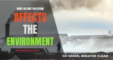 Factory Pollution: Environmental Impact and Our Future