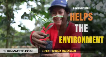 Fair Trade's Green Impact: Sustainable Practices for a Healthier Planet