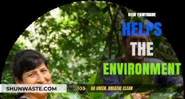 Fairtrade's Green Impact: Sustainable Practices Protecting Our Planet
