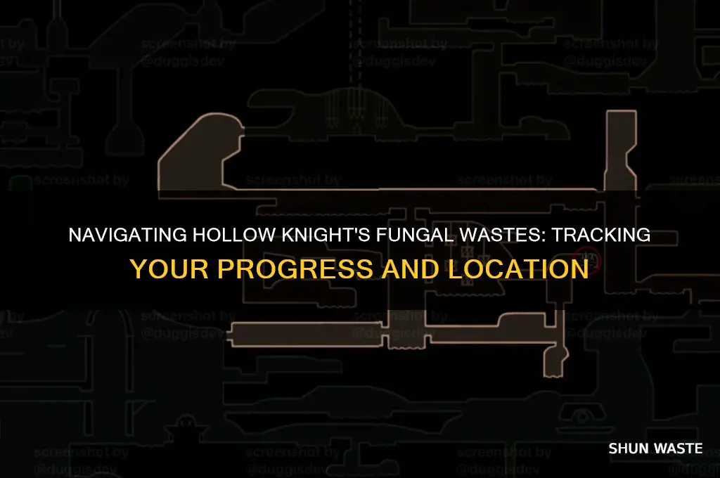 how far am i in hollow knight fungal wastes