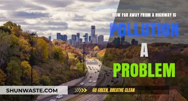 Pollution's Long Reach: Highways and Health Hazards