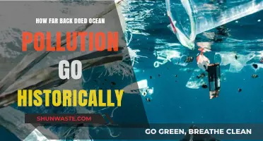 Ocean Pollution: A Historical Perspective