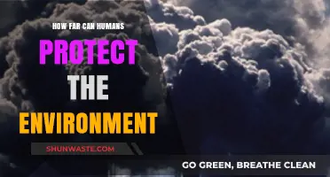 Human Limits in Safeguarding Our Planet: Environmental Protection Explored