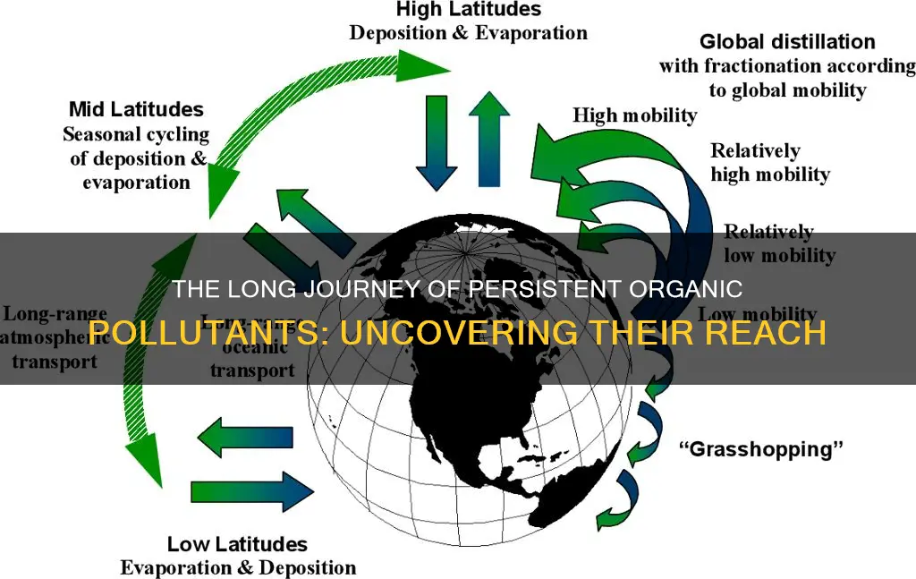 how far can persistent organic pollutants travel