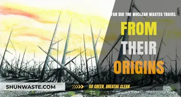 Tracing the Global Journey of Nuclear Waste from Its Origins