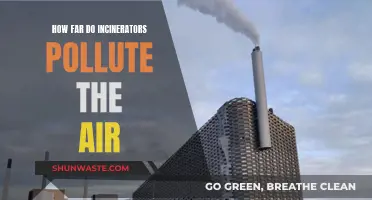 Incinerators: How Much Do They Pollute Our Air?