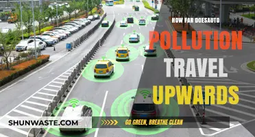 Vehicle Pollution: How High Does It Reach?