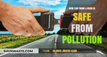 Distance from roads: Safe from pollution?