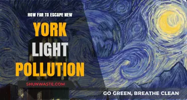 Escape Light Pollution: Exploring Dark Skies Beyond New York