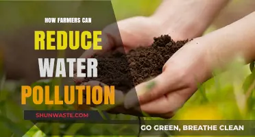 Farmers' Guide to Clean Water: Strategies for Reducing Pollution