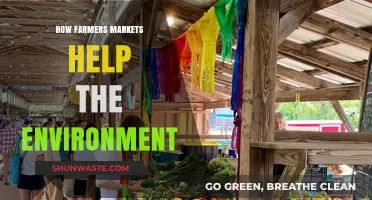 Sustainable Shopping: How Farmers Markets Benefit Our Planet and Communities