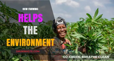 Sustainable Farming Practices: How Agriculture Benefits Our Environment