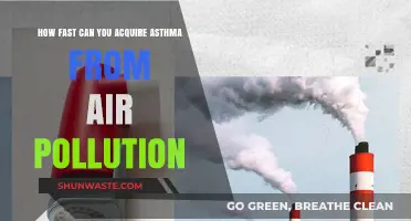 Airborne Hazards: How Fast Asthma Develops from Pollution Exposure