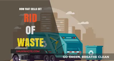 Efficient Cellular Waste Removal: How Fast Do Cells Detoxify?