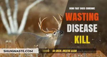 Chronic Wasting Disease Progression: Understanding Its Fatal Timeline and Impact