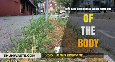 How Quickly Does Human Waste Exit the Body?