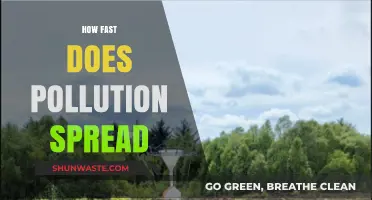 Pollution's Rapid Reach: Understanding its Speed and Impact