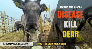 How Quickly Does Wasting Disease Kill Deer? A Deadly Timeline