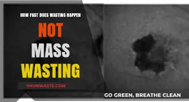 Understanding the Rapid Progression of Wasting vs. Mass Wasting