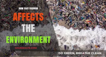 Fast Fashion's Environmental Impact: Unraveling the Hidden Costs of Trends