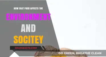 Fast Food's Impact: Environmental Degradation and Social Consequences Explored