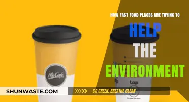 Sustainable Bites: Fast Food's Eco-Friendly Initiatives for a Greener Future