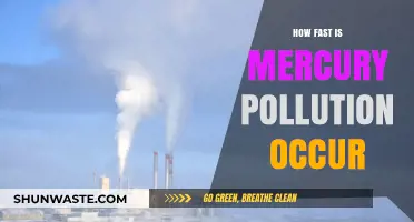 Mercury Pollution: Rapid Contamination and its Impact