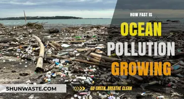 Ocean Pollution: Rapidly Growing Crisis