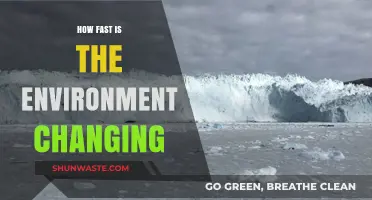 Accelerating Environmental Shifts: How Fast Is Our Planet Changing?