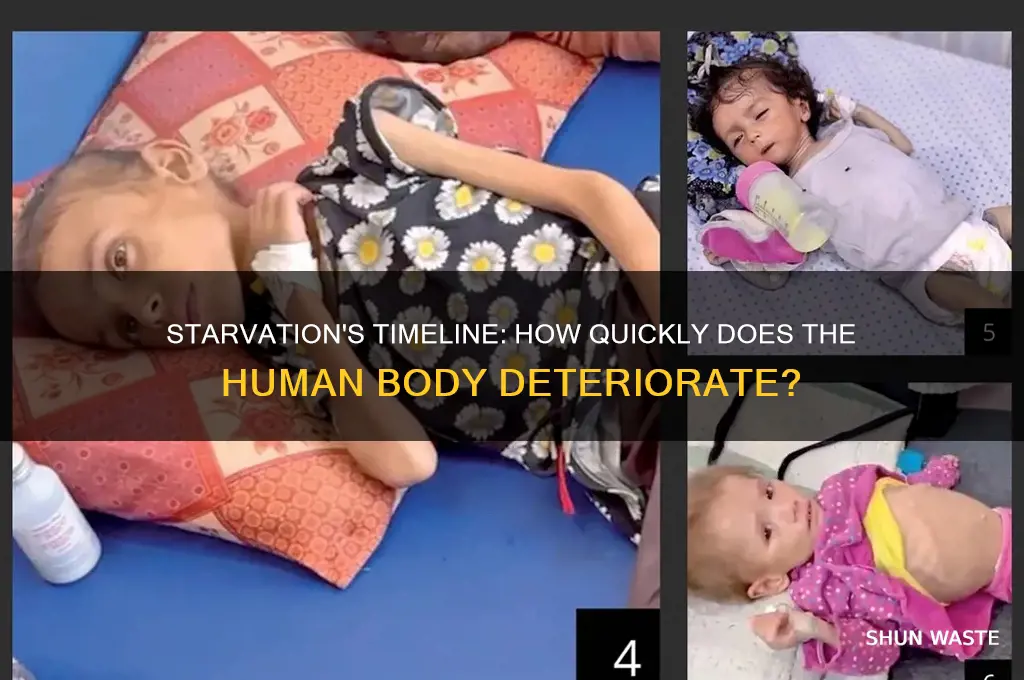 how fast will you waste away if starving