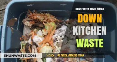 Speedy Decomposers: How Worms Rapidly Transform Kitchen Waste into Compost