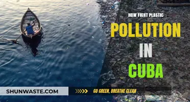 Cuba's War on Plastic Pollution: Strategies for Success