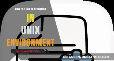 Understanding File Descriptions in Unix: Commands, Attributes, and Permissions