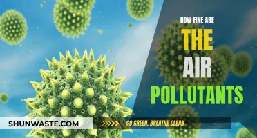 Air Pollutants: Microscopic Killers in Our Air