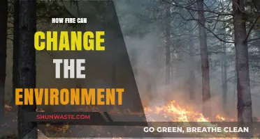 Fire's Impact: Transforming Ecosystems and Shaping Environmental Change