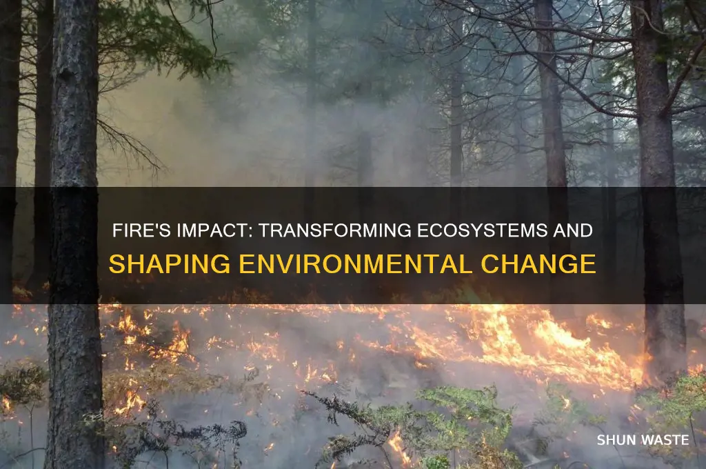 how fire can change the environment