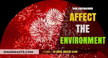 Firecrackers' Environmental Impact: Pollution, Wildlife, and Climate Consequences Explained