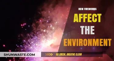 Fireworks' Environmental Impact: Pollution, Wildlife Disruption, and Sustainable Alternatives