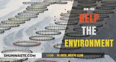 Fish as Eco-Heroes: Their Vital Role in Sustaining Our Environment