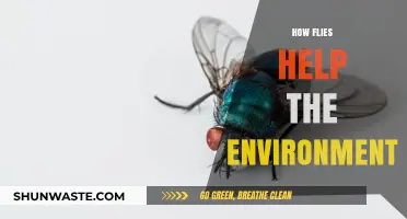 Flies' Surprising Role: Boosting Ecosystems and Environmental Health