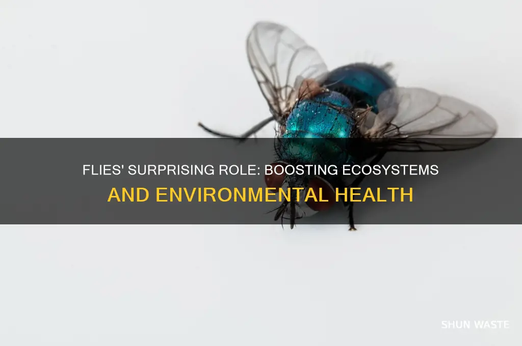 how flies help the environment