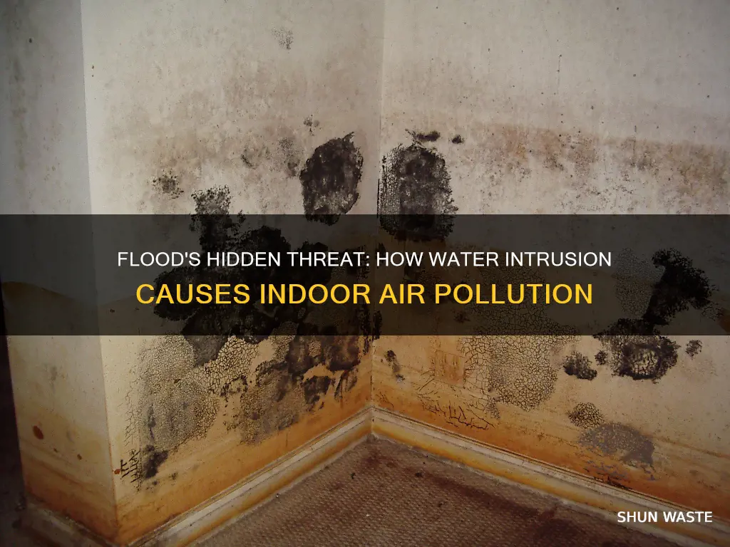 how flood causes indoor air pollution