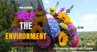 Blooming Benefits: How Flowers Enhance Our Environment Naturally